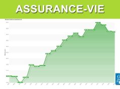 Assurance vie : un engouement record qui ne se dément pas depuis deux décennies