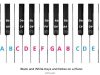 Comment sélectionner l’assurance auto idéale selon votre profil ? découvrez comment choisir l'assurance auto idéale adaptée à vos besoins et bénéficiez de la meilleure couverture au meilleur prix.