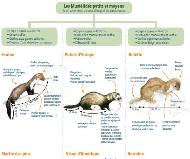 découvrez les potentielles interdictions des dépassements d’honoraires chez les spécialistes et ce que cela signifie pour vos consultations médicales.