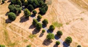 astuces essentielles pour choisir la meilleure assurance avant de partir en vacances découvrez comment choisir la meilleure assurance vacances pour protéger votre voyage et profiter l'esprit tranquille. conseils et astuces pour un choix adapté à vos besoins.